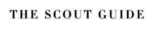 The Scout Guide (logo)