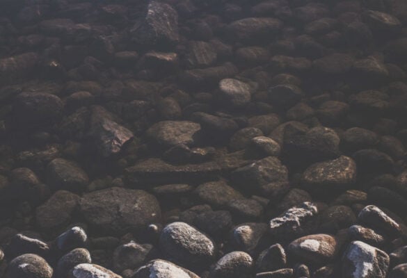 Photo of Fancy Rocks